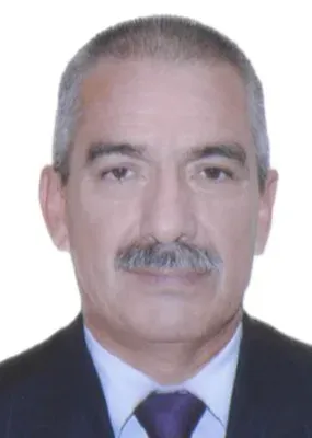David Enrique Landa Tucto