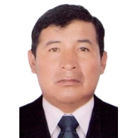 Demetrio Zapana Deza