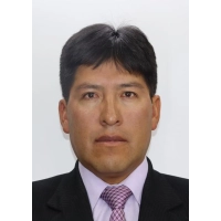 Fredy Ronald Vilcapaza Mamani