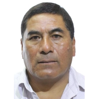Pedro Victor Gonzales Llerena