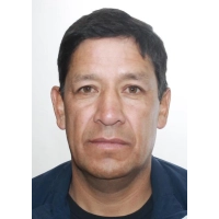 Percy Alex Bellido Reyes