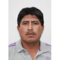Revelino De La Cruz Rojas
