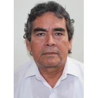 Ronald Panduro Curitima