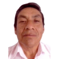 Victor Eliseo Flores Albites