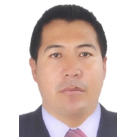 Victor Raul Vega Alarcon
