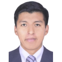 Wilson Teofilo Calisaya Sarmiento
